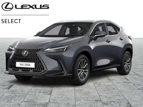 Annonce LEXUS NX Hybride 2024 d'occasion 