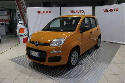 Annonce FIAT PANDA Essence 2020 d'occasion 