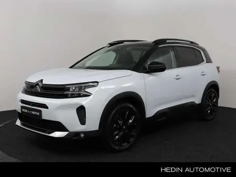 Annonce CITROEN C5 AIRCROSS Hybride 2024 d'occasion 