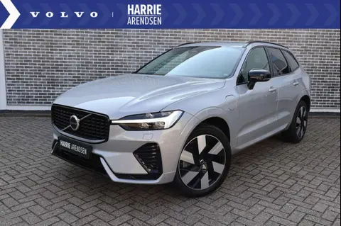 Annonce VOLVO XC60 Hybride 2023 d'occasion 