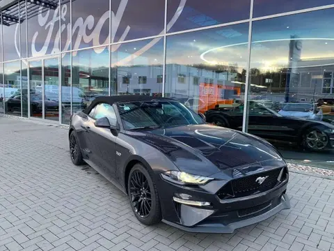 Used FORD MUSTANG Petrol 2024 Ad 