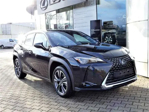 Used LEXUS UX Hybrid 2023 Ad 