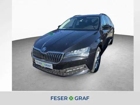 Annonce SKODA SUPERB Diesel 2024 d'occasion 