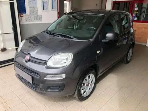 Used FIAT PANDA  2017 Ad 