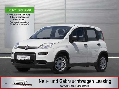 Annonce FIAT PANDA Essence 2024 d'occasion 