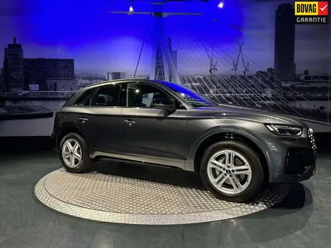 Used AUDI Q5 Hybrid 2024 Ad 