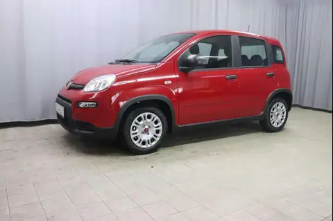 Used FIAT PANDA Petrol 2024 Ad 