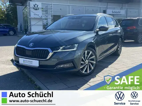 Used SKODA OCTAVIA Diesel 2020 Ad 