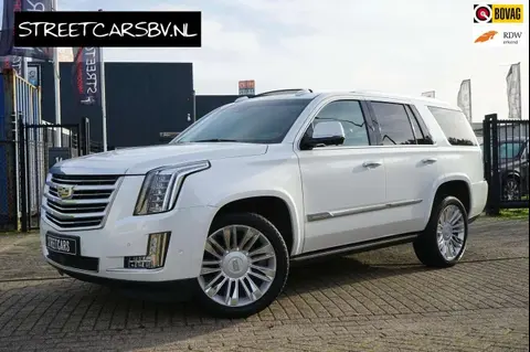 Used CADILLAC ESCALADE Petrol 2017 Ad 