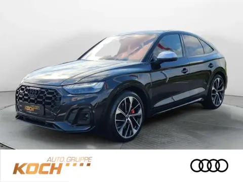 Annonce AUDI SQ5 Diesel 2024 d'occasion 