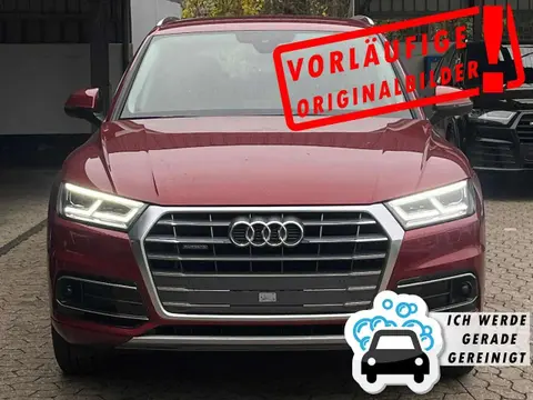 Used AUDI Q5 Diesel 2018 Ad 