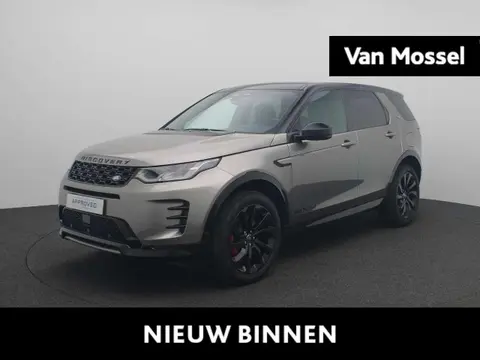 Annonce LAND ROVER DISCOVERY Essence 2024 d'occasion 