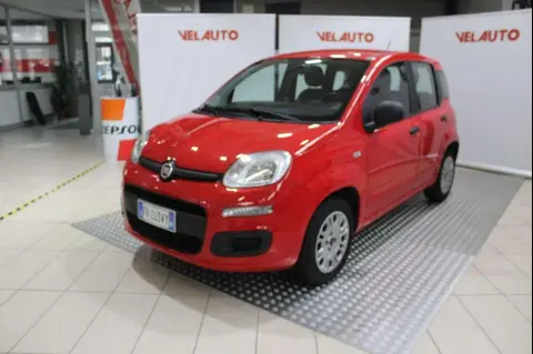 Used FIAT PANDA Petrol 2017 Ad 