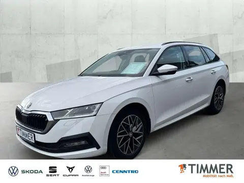 Annonce SKODA OCTAVIA Diesel 2021 d'occasion 