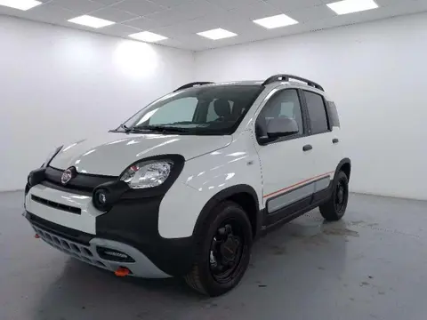 Used FIAT PANDA Hybrid 2023 Ad 