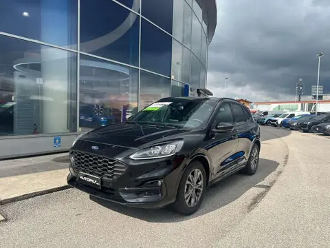 Used FORD KUGA Hybrid 2023 Ad 