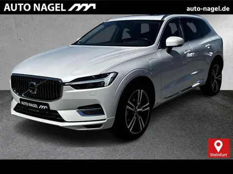 Used VOLVO XC60 Hybrid 2021 Ad 