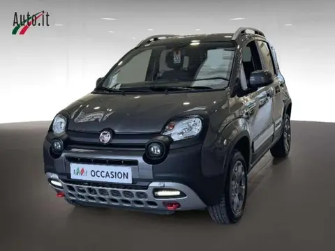 Used FIAT PANDA Petrol 2023 Ad 