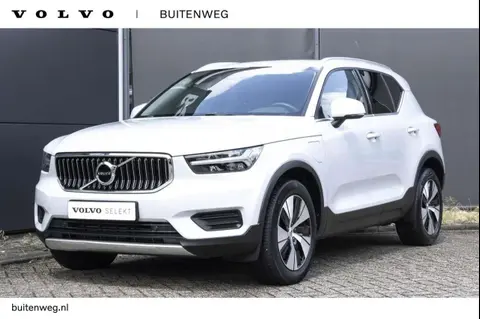 Used VOLVO XC40 Hybrid 2020 Ad 