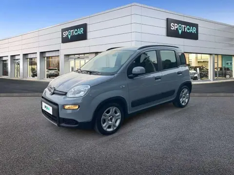 Used FIAT PANDA Petrol 2022 Ad 