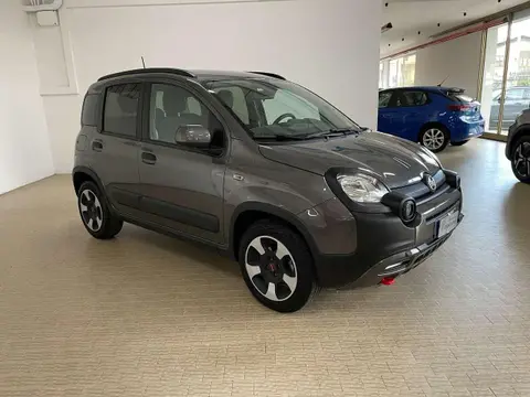 Used FIAT PANDA Hybrid 2023 Ad 