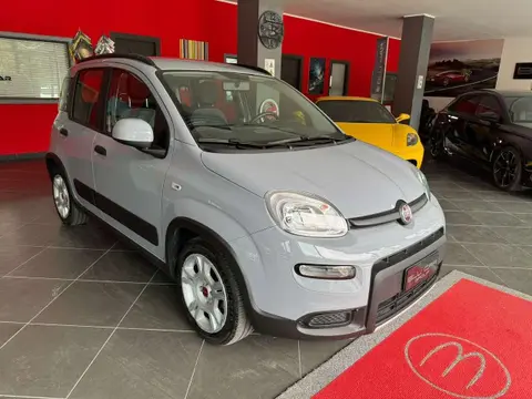 Used FIAT PANDA Hybrid 2022 Ad 