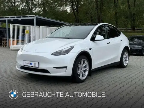 Used TESLA MODEL Y Electric 2022 Ad 