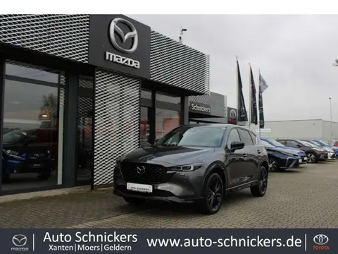 Used MAZDA CX-5 Petrol 2023 Ad 