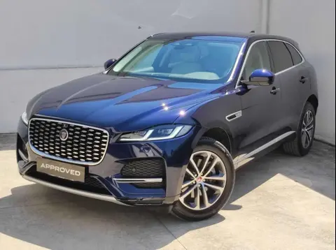 Used JAGUAR F-PACE Hybrid 2021 Ad 