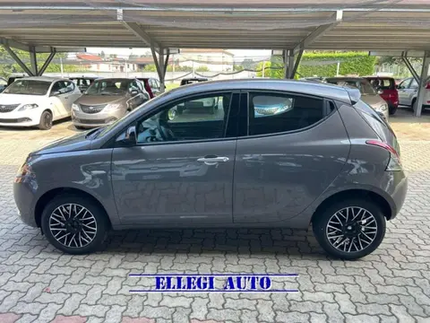 Used LANCIA YPSILON LPG 2024 Ad 