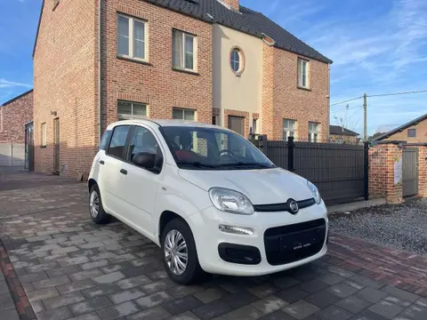 Used FIAT PANDA Petrol 2020 Ad 