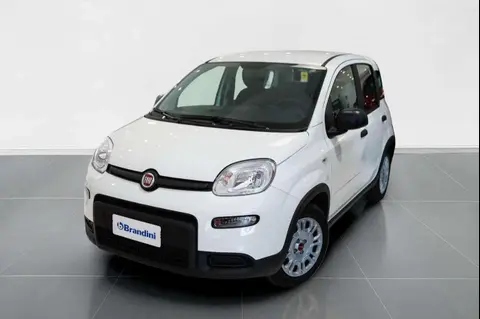 Annonce FIAT PANDA Hybride 2024 d'occasion 