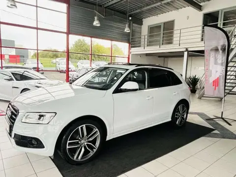 Annonce AUDI SQ5 Diesel 2015 d'occasion 