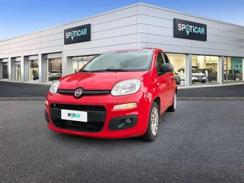 Annonce FIAT PANDA Essence 2019 d'occasion 