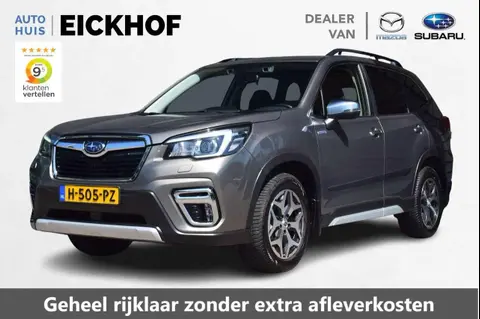 Annonce SUBARU FORESTER Hybride 2020 d'occasion 