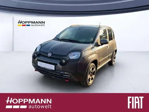 Used FIAT PANDA Petrol 2024 Ad 