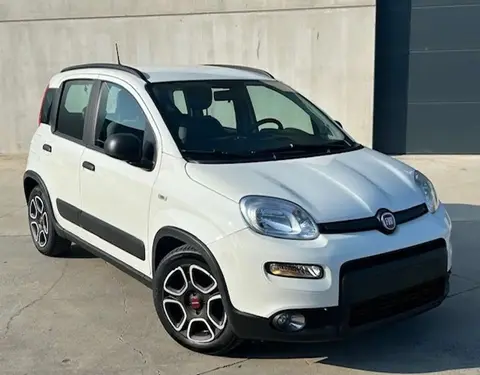 Used FIAT PANDA Hybrid 2021 Ad 