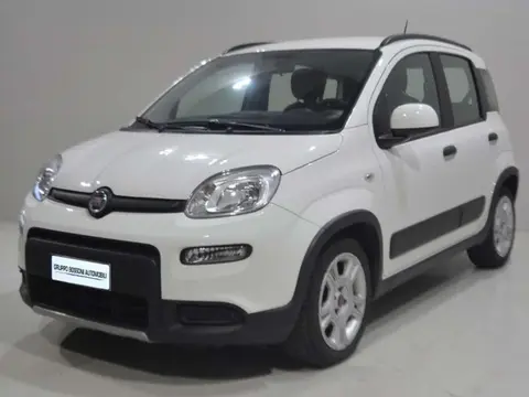 Annonce FIAT PANDA Hybride 2022 d'occasion 