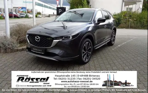 Used MAZDA CX-5 Hybrid 2024 Ad Germany