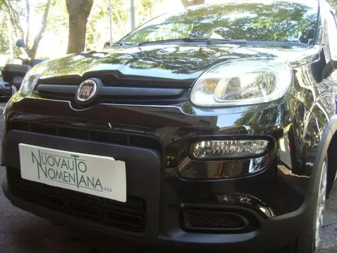 Used FIAT PANDA Hybrid 2024 Ad 