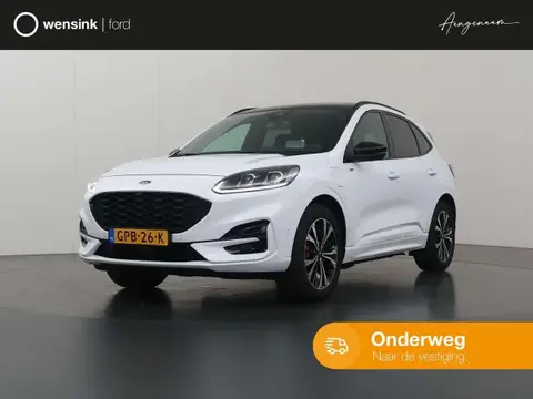 Used FORD KUGA Hybrid 2021 Ad 