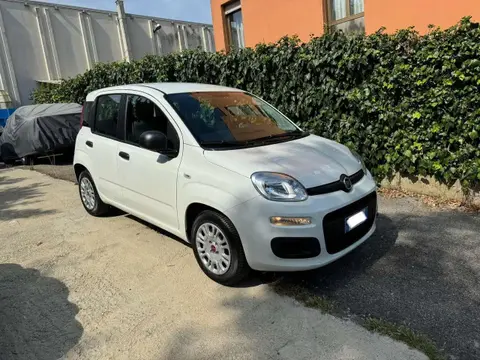 Used FIAT PANDA Petrol 2020 Ad 