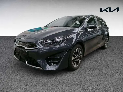 Annonce KIA CEED Hybride 2023 d'occasion 