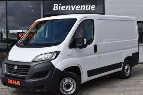 Annonce FIAT DUCATO Diesel 2021 d'occasion 