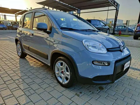 Used FIAT PANDA Hybrid 2022 Ad 