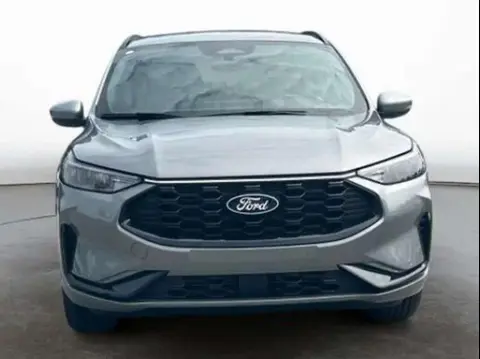 Annonce FORD KUGA Essence 2024 d'occasion 