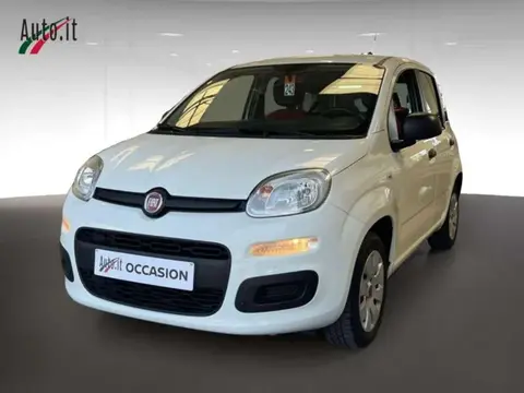 Annonce FIAT PANDA Essence 2019 d'occasion 