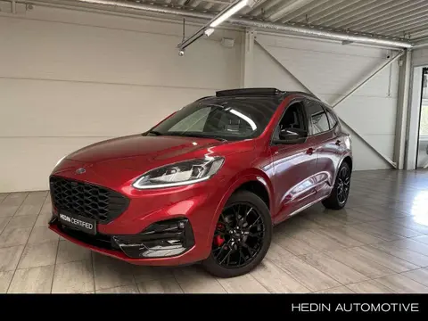 Annonce FORD KUGA Hybride 2023 d'occasion 