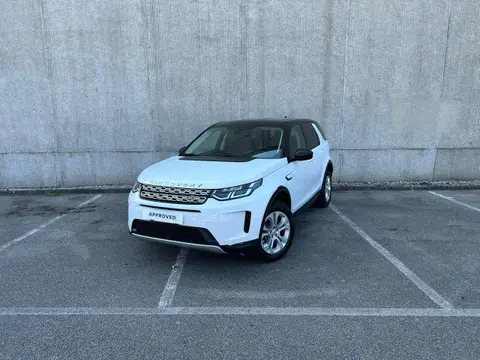 Used LAND ROVER DISCOVERY Hybrid 2020 Ad 