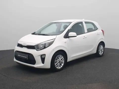 Annonce KIA PICANTO Essence 2021 d'occasion 